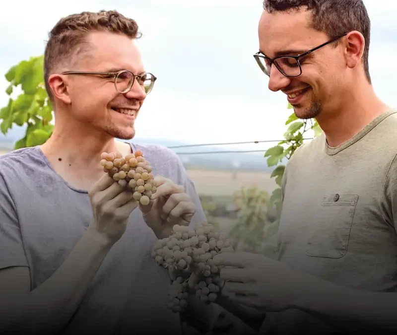 Trüffel-Wein-Menü